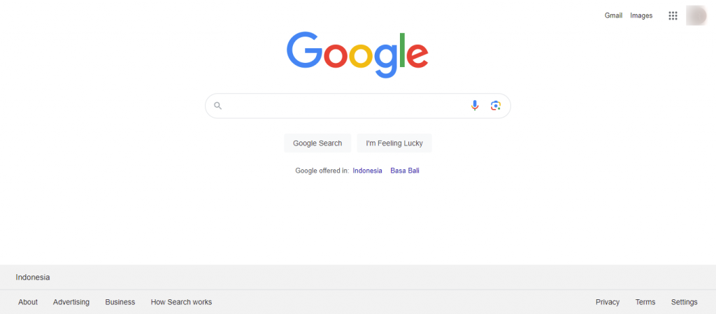 tampilan google search