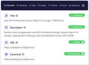 tampilan detailed seo