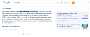 ai overview google di SERP