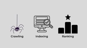 crawling indexing ranking